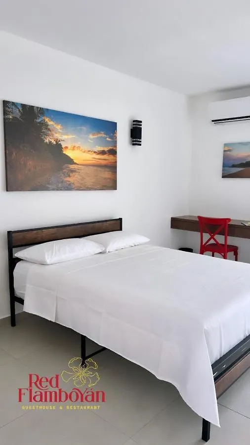 Red Flamboyan Guesthouse And Restaurant Rincon